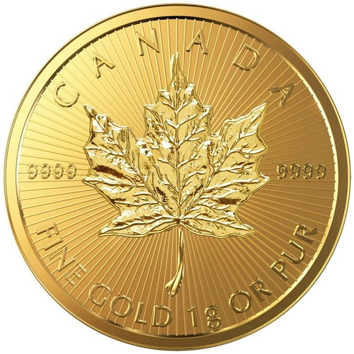Maple leaf 2025 - leaf, -1