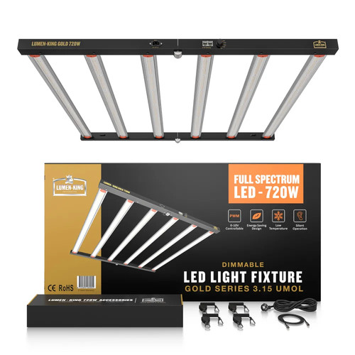 Lumen king gold series - lumen,